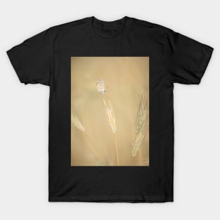 Common Blue Butterfly on Grass T-Shirt